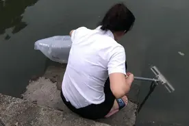 广东河道有人放生上千条鱼，都是食人鲳？网友：这鱼能咬死鸭子图片