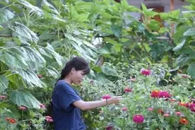 越南女孩剽窃李子柒！服装、发型、奶奶，连狗都一模一样图片