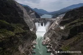 白鹤滩和三峡水里的鱼是怎么过去的？难道是鲤鱼跃龙门？图片