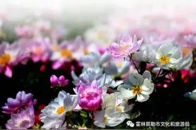 夏季，游遍霍林郭勒图片
