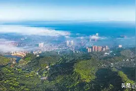 上下同欲者胜,风雨同舟者兴！龙泉驿奋力夺取“双胜利”！图片