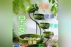 人生，没有永远的伤痛，再深的痛，伤口总会痊愈，早安图片