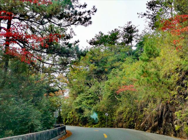 只有10%广东人才知道的粤北“云海天池红叶”，让人一眼沦陷