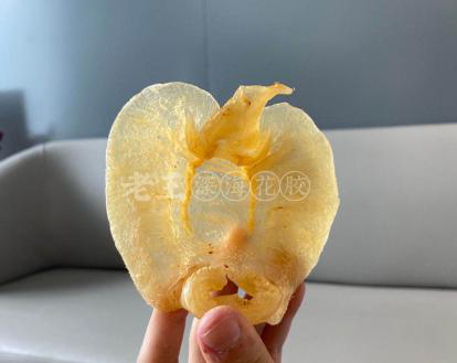 靓花胶与劣质花胶 靓花胶与劣质花胶哪个好