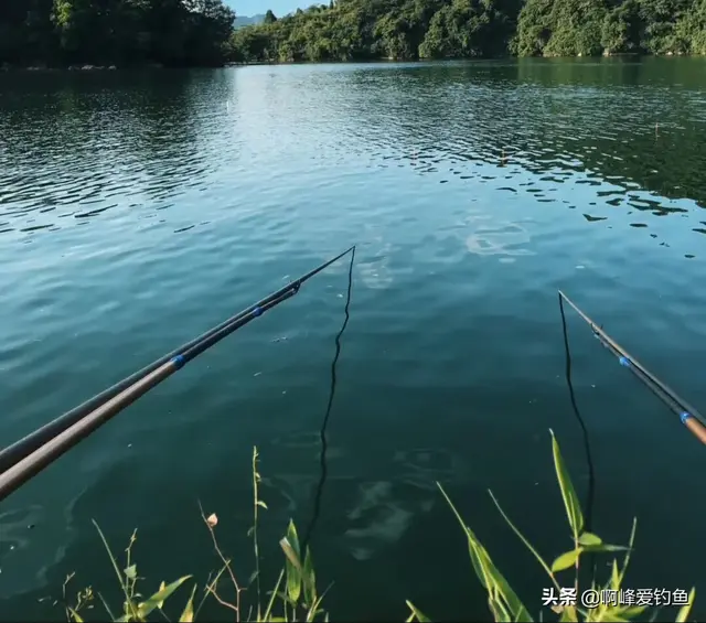翘嘴鱼怎么去鱼鳞