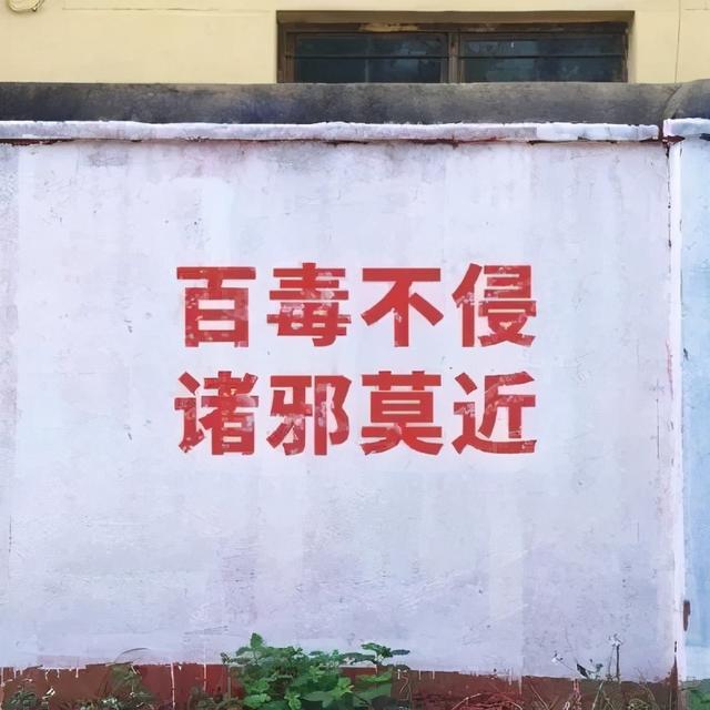 朋友圈背景图 | 个性、沙雕、励志文字控