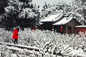 太原舞厅去观舞，场内关灯老王发声图片