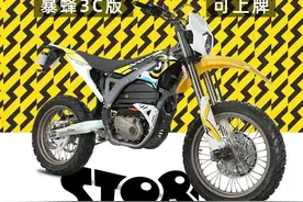 摩博会 | 可上牌的电动越野车，虬龙暴蜂售价43800元图片