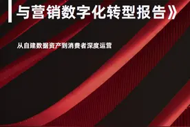 2021年品牌CDP与营销数字化转型报告.pdf图片