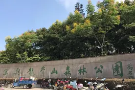江苏又一大型公园走红，耗资3亿门票免费，属国家4A级景区图片