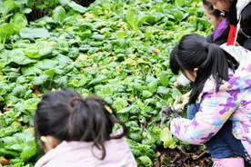 奖励小学生白菜大蒜！这事儿真的有！就在无锡这所学校视频封面