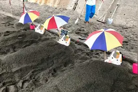 欢乐日本九州行——下篇（指宿 鹿儿岛 人吉 福冈）图片