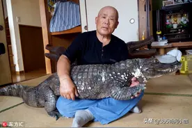 把猛兽当“萌宠”是一种什么体验？网友：夜里眼睛都不敢闭图片
