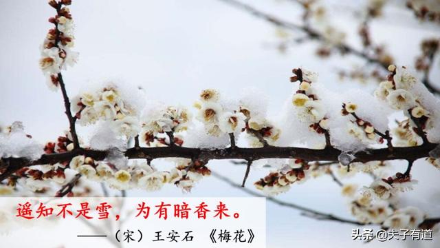 部编版一年级下册语文《春夏秋冬》知识点+图文讲解，给孩子预习