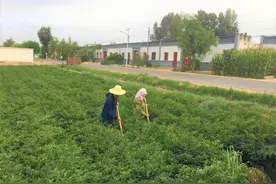 儿子能飞翔在祖国的蓝天，就是我们的骄傲图片