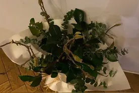 孙俪错失白云兰奖，邓超带儿子女儿暖心安慰图片