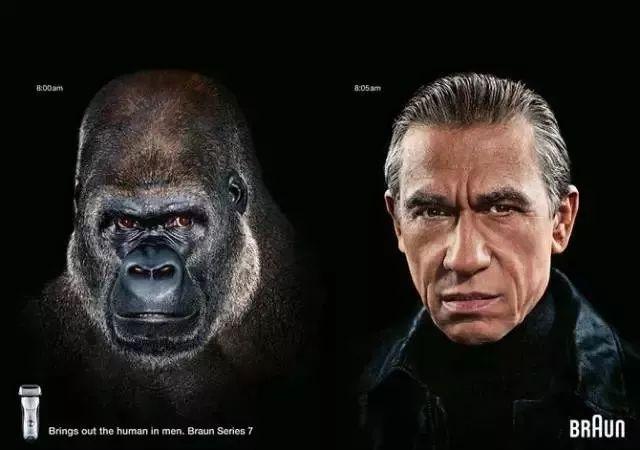 Ӫ�����ֶ����õ�15��Ӫ�����ɣ�ÿһ������ɱ���