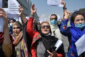 阿富汗女大学生走上街头游行：出门就像犯人越狱，不穿罩袍是我的底线，窗帘隔开男女挺可笑图片