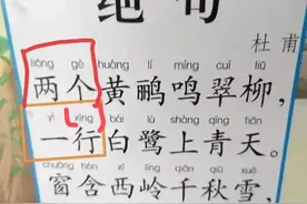课本教“一行（xíng）白鹭上青天”，课本错了还是我们记错了图片