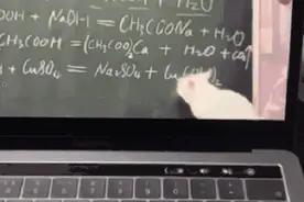 猫咪都被迫营业了，你还不知道教鞭的进化史吗？图片