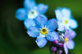 人在江湖飘图片