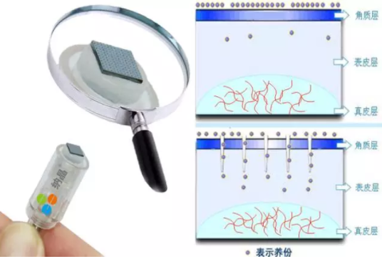 市面上眼花缭乱的多肽，原来全在你的中学课本里