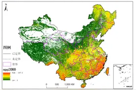 中国净第一性生产力NPP（2000-2010）图片