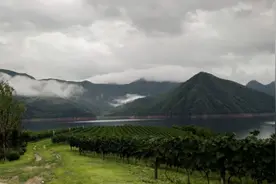 葡萄美酒夜光杯，国宴品质当看谁？图片