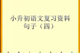 小升初六年级语文专项复习PPT（4）——句子图片