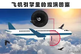 你可能没有注意到6个常见事物中可以挽救生命的小细节图片