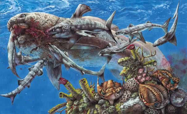 邓氏鱼的天敌是谁 世界上比鲨鱼还恐怖的鱼是什么鱼-桔子edu