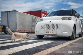 预售一天订单破千，最大续航401公里，欧拉白猫将15日上市图片