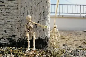 姑父的出走与归来图片