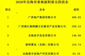 2020年北海市土拍回顾：四大房企独领风骚图片