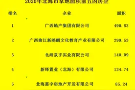 2020年北海市土拍回顾：四大房企独领风骚图片