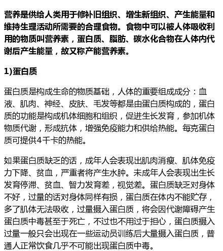 什么是蛋白质？什么是碳水化合物？什么是脂肪？怎么吃？