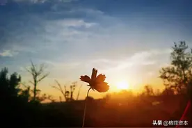 光伏行业及周期性问题分析:以下内容，参考了外部券商的部分数据图片