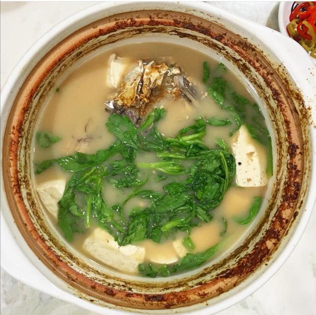 花胶可以和鳄鱼肉干一起煲汤吗 2026年花胶可以和鳄鱼肉干一起煲汤吗
