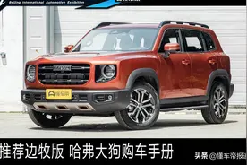 购车｜推荐次顶配边牧版 哈弗大狗主打性价比图片