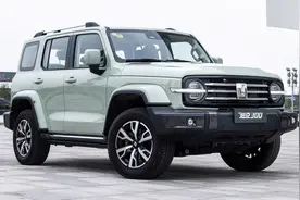 它才是适合更多人的坦克300......图片