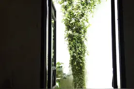 当我开始享受黑暗的那一刻起，我就不再期待黎明图片