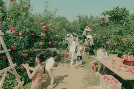 中国邮政储蓄银行2020年全新品牌形象广告片温情上线图片