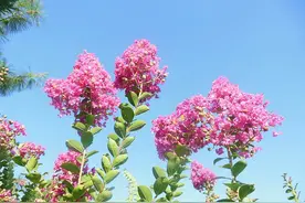 不吃“回头草”的星座，一旦分开很难再复合，不要轻易说分手图片