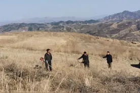 春耕备耕正当时：建昌县贺杖子乡火石山村|把野生榛子变为农民手中的金豆子图片