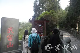 「十堰」武当神鸟！武当山景区新增一处景观等客来图片