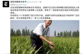 袁隆平的历史地位究竟怎样？来看美国最权威的《纽约时报》怎么说图片