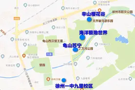 徐州中学来啦！市政府打造重点学校！这个区域未来可期图片