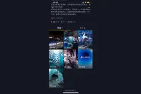 西藏冒险王遇难推论图片