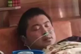 我的母亲制造了人工化粪池—王致和炸臭豆腐图片