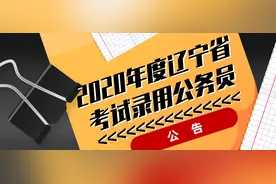 2020年度辽宁省考试录用公务员公告图片